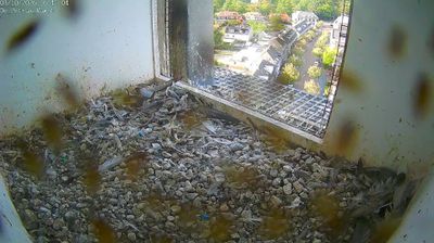 Live webcam in Vught, Netherlands