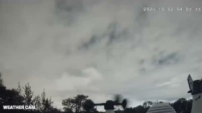 Live webcam in Austin, United States