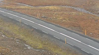 Patreksfjorur: Kleifaheiði