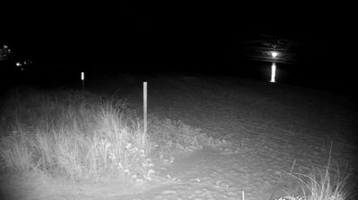 Live webcam in Pelican Bay, United States