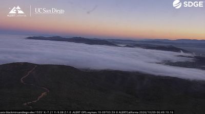 Live webcam in San Diego, United States