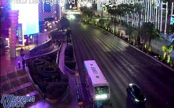 Webcam: Paradise