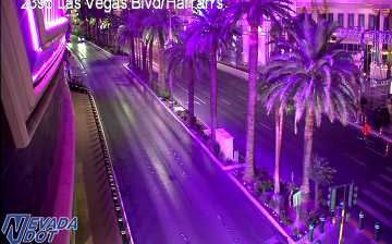 Webcam: Paradise