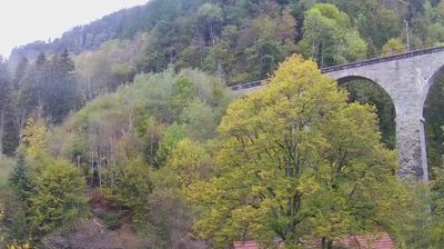 Live webcam in Breitnau, Germany