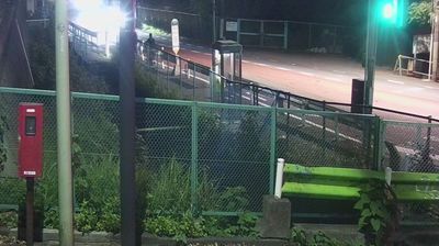 Webcam: Denenchofu 4: South-east: Parkway - 河川敷駐車場入り口 - Nijibashi