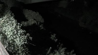 Live webcam in unknown, Japan