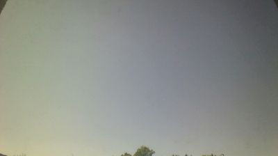 Zadnja slika ob 12h: Trbovlje: Dom in vrt