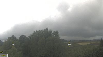 Zadnja slika ob 12h: Dolenje, Ajdovščina