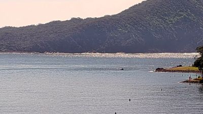 Shoal Bay: Port Stephens