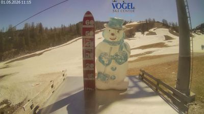 Tolmin: Vogel