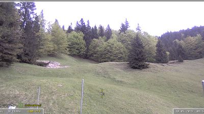 Pod vrhom Blegoša (1100m), severovzhod
