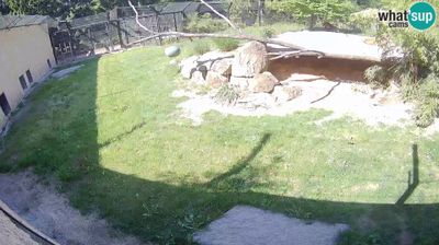 ZOO Ljubljana, levi