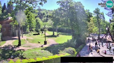 Živalski vrt - Ljubljana, žirafe