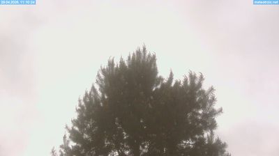 Zadnja slika ob 12h: Tržič - jugozahod