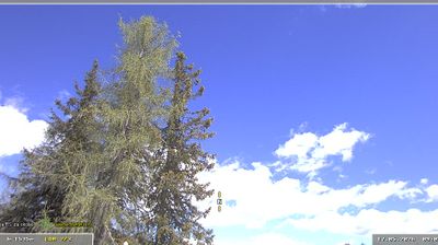 Zadnja slika ob 12h: Vogel - sever