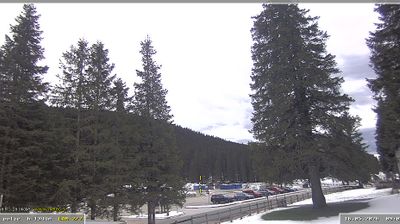 Zadnja slika ob 12h: Pokljuka, Rudno polje - jug