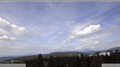 Rogla (1495m) - jugozahod