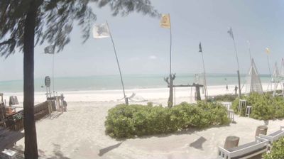 Paje › East: Paje Beach - B4 Kitesurf Zanzibar