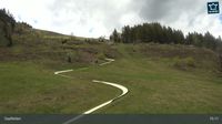 Saalfelden am Steinernen Meer - Saalfelden am Steinernen Meer: Saalfelden - Sommerrodelbahn