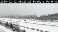 St. John's - St. John's › Východ: Paddy's Pond Road
