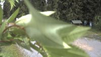 Horni Jeleni - Horni Jeleni › Severozápad: Eisernes Tor