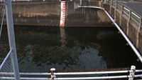 Higashi Ward › North-east: 東区 - 日本: 綿打橋（綿打川） - Current