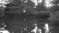 Kamigyo Ward › South-west: Kujō Pond (Remains of Kujō Residence) - Shūsui-tei Teahouse - Recent