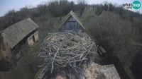 Cigoc - Cigoc: Stork Villages, Lonjsko polje Nature Park
