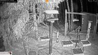Black Diamond - Black Diamond › Západ: Foothills Birds - Live BirdCam [50+ Species