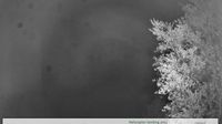 Columbia › North-east: Montana on Macalister -> Facing NNE - Current