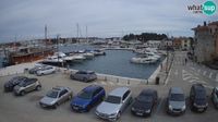 Novigrad - Novigrad: Porporela marina