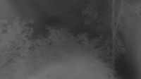 Glenmaggie › South-west: Coongulla -> Windsock SW - Current