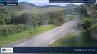 Dorrigo › South-west: Coramba Road - Current