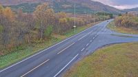 Sorvik - Sorvik: Blomjoten