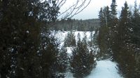 Saint-Hippolyte › North: Biology station of Laurentides - Lac Croche - Chemin du Lac Croche - Current