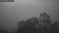 Collaroy › North-east: YKIG - Kingston -> Facing North-East - Current