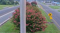 Selbyville: US 113 @ HOSIER ST - Current