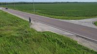 Scugog - Scugog › Východ: Highway 7A near Island Road, Looking East