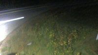 Unorganized Thunder Bay District: Highway 17 near Neys Provincial Park, Looking Down - Current