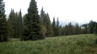 Mount Crested Butte › North-west: Snodgrass Mountain - Current
