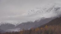 Wortmanns - Wortmanns: Richardson Highway