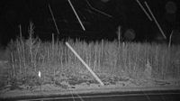 unknown - Fairbanks North Star Borough: Parks Highway