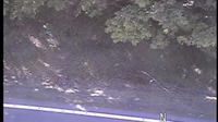 Wardensville: VA-55 EB - East of WV State Line - Current