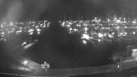 Picton › North-east: Waikawa Marina - Current