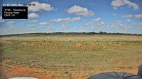 Janefield › West: YTIB - Tibooburra -> Facing West - Current