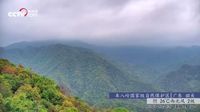 Siqian - Recent