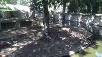 Washington - Washington: Woodley Park › Nordwesten: Great Cats Exhibit/Lion and Tiger Hill - Smithsonian National Zoological Park