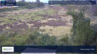 Maryborough › East: Guava Street - Current