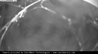 Whitehall › South-west: Thompson Street - White River - Current