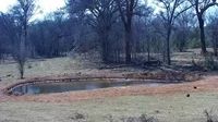 Mookgopong Local Municipality: Honeyguide Ranger Camp - Current